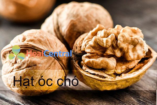 Hạt óc chó chứa melatonin - hormon có tác dụng điều hòa bài tiết giấc ngủ 