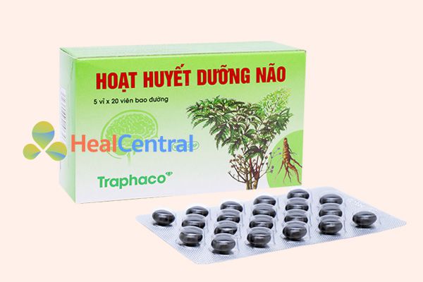 Hoạt huyết dưỡng não - ngăn cảm nhồi máu não phát triển