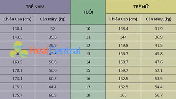 Bảng chiều cao và cân nặng chuẩn cho nam nữ trên 10 tuổi.