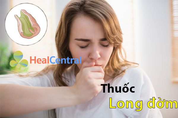 Các thuốc long đờm tốt nhất hiện nay