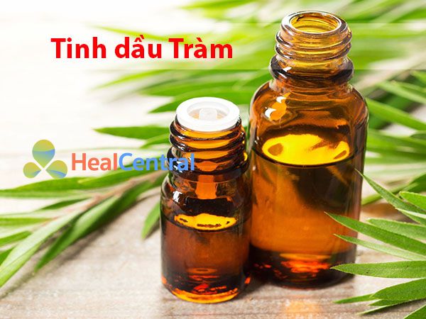 Sử dụng tinh dầu tràm để loại bỏ đờm ở trẻ nhỏ