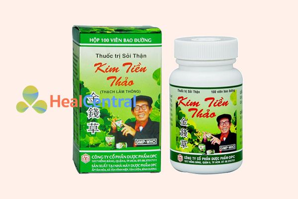 Thuốc trị sỏi thận Kim tiền thảo