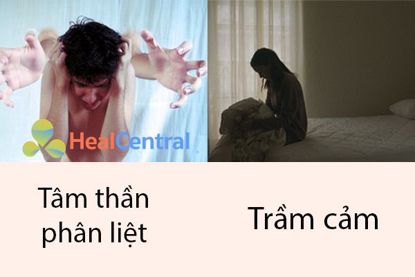 Cần phân biệt rõ ràng bệnh trầm cảm với bệnh tâm thần phân liệt