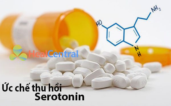 Thuốc ức chế thu hồi serotonin - chỉ định đầu tay cho bệnh nhân trầm cảm
