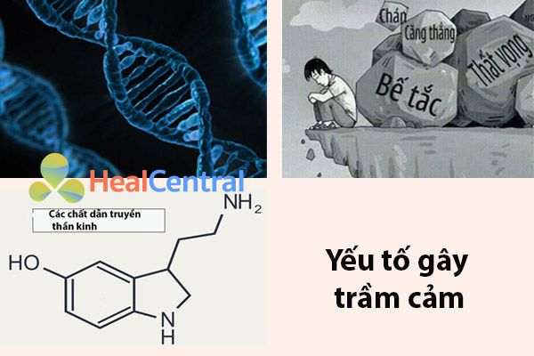 Các yếu tố nguy cơ dẫn đến bệnh trầm cảm