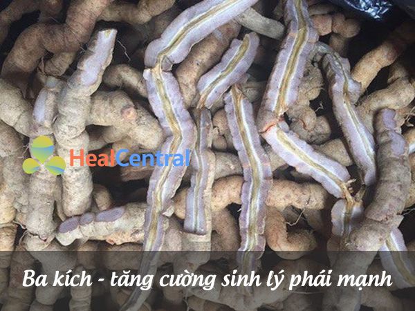 Ba kích - tăng cường sinh lý phái mạnh