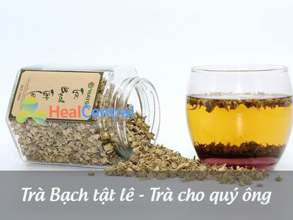 Trà Bạch tật lê