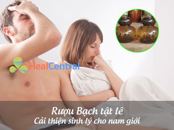 Bạch tật lê - cải thiện sinh lý cho cánh mày râu