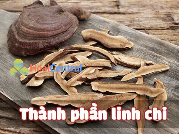 Thành phần Linh chi của Hapanix