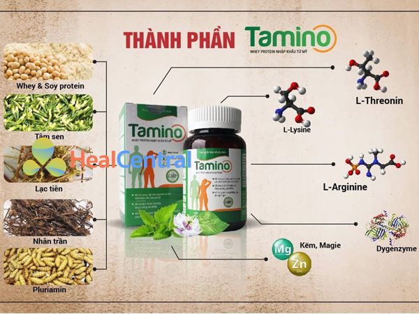 Các thành phần có trong Tamino