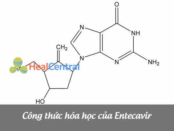 Công thức cấu tạo của Entecavir