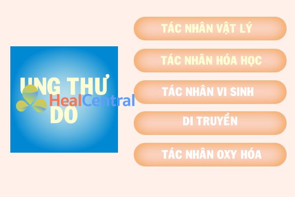 Các yếu tố gây ung thư