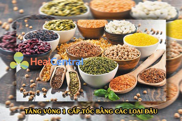 Cách tăng vòng 1 bằng các loại đậu