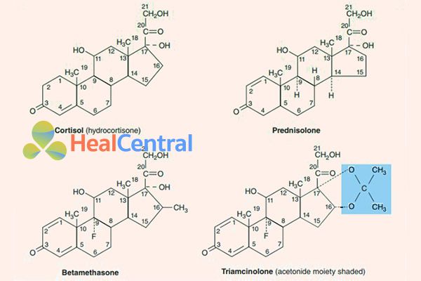 Cấu trúc hóa học của Cortisol nội sinh và một số thuốc glucocorticoid