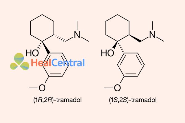 Cấu trúc hóa học của Tramadol