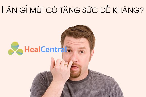 Chưa có nghiên cứu chính thức về việc ăn gỉ mũi tăng sức đề kháng