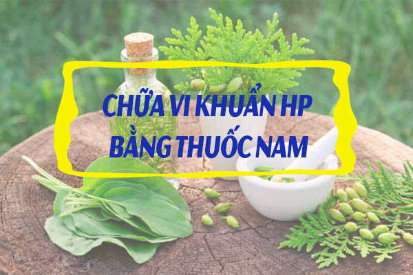 Chữa Hp bằng thuốc nam