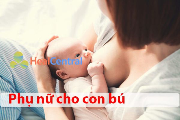 Ảnh hưởng của thuốc Clipoxid-300 lên phụ nữ có thai và phụ nữ cho con bú