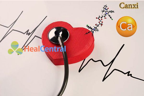 Vai trò của canxi trên tim mạch và tuần hoàn