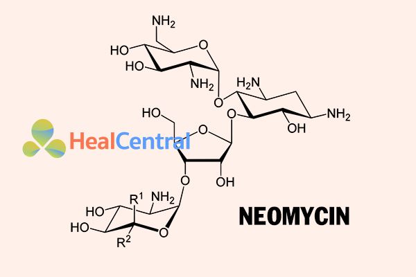 Công thức hóa học của Neomycin