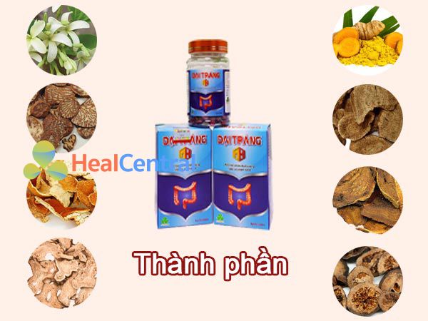 Thành phần Đại Tràng MH