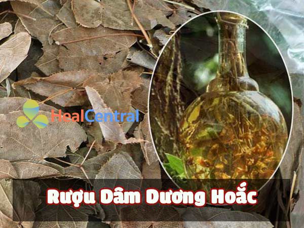 Dâm Dương Hoắc dạng rượu ngâm