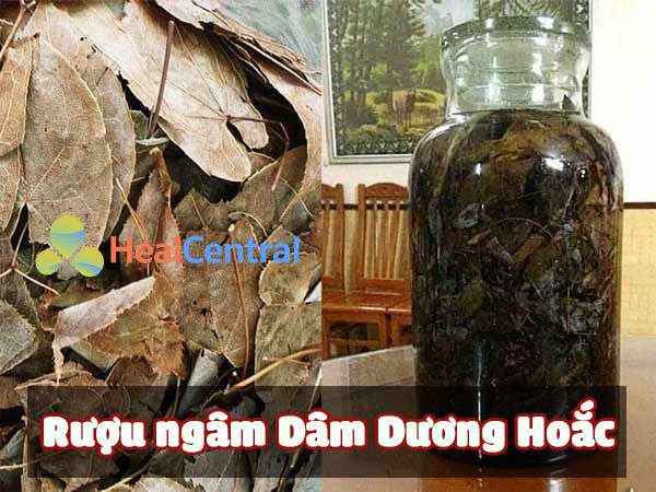 Rượu ngâm Dâm Dương Hoắc