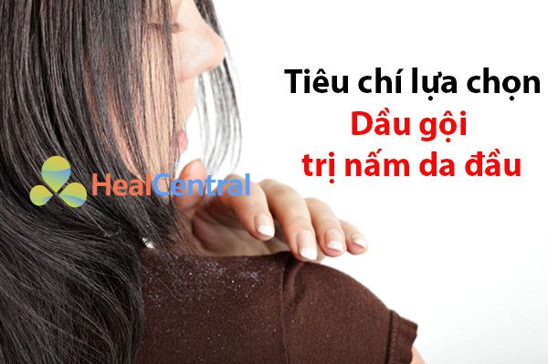 Các tiêu chí lựa chọn mua dầu gội trị nấm da đầu tốt?