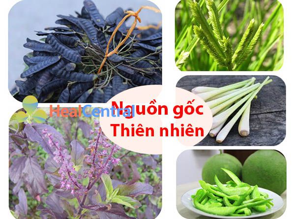 Nên chọn các loại dầu gội có nguồn gốc từ thiên nhiên