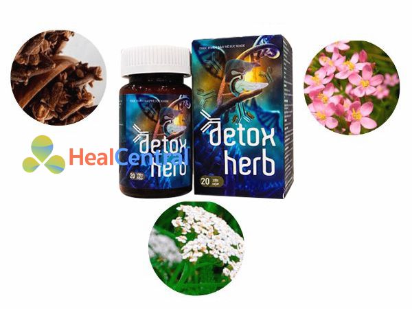 Các thành phần chính của Detoxherb