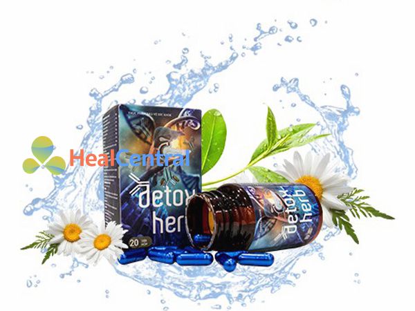 Detoxherb - giải quyết tình trạng hôi miệng hiệu quả