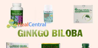 Ginkgo Biloba