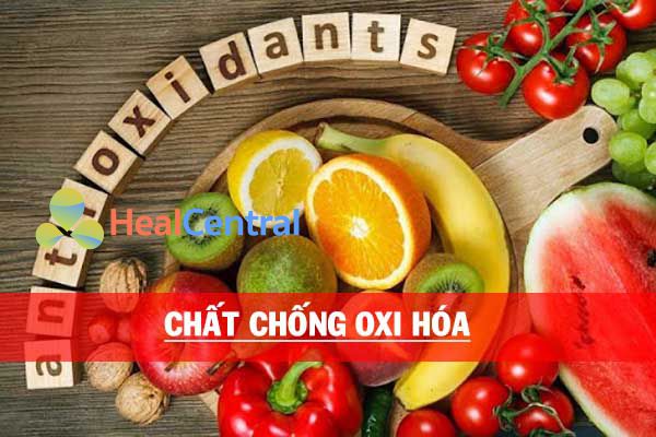 Ginkgo Biloba có chứa nhiều chất chống oxi hóa