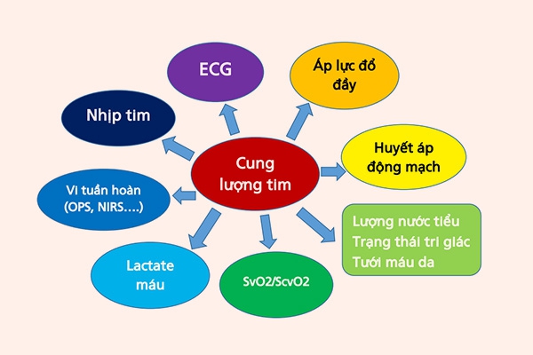 Một số yếu tố có thể chỉ ra mức độ đầy đủ (trong) của cung lượng tim. Hình ảnh quang phổ phân cực trực giao OPS, quang phổ cận hồng ngoại NIRS, bão hòa oxy tĩnh mạch hỗn hợp SvO2, bão hòa oxy tĩnh mạch trung tâm ScvO2, điện tâm đồ EKG.