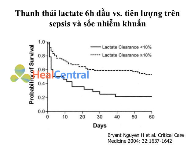 Thanh thải Lactate trong 6 giờ đầu