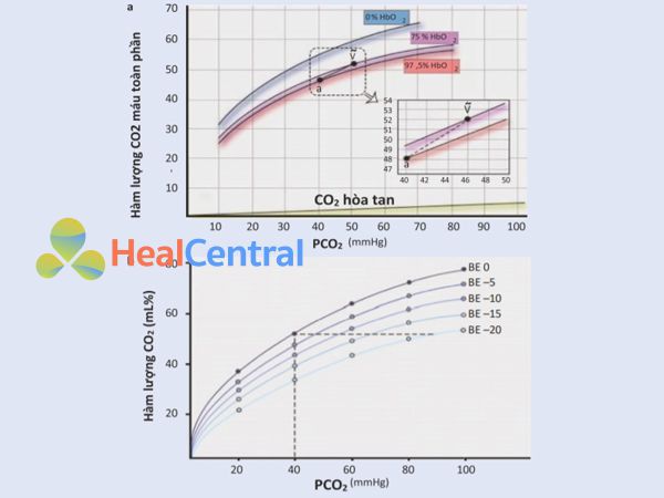 Đường cong phân ly CO2.