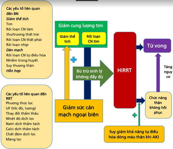 các cơ chế cơ bản góp phần gây HIRRT