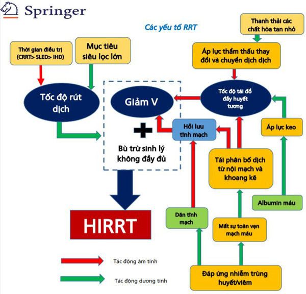 Các yếu tố đóng góp vào tình trạng giảm thể tích máu và HIRRT