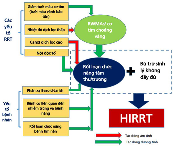 Các yếu tố góp phần cho rối loạn chức năng tim và HIRRT