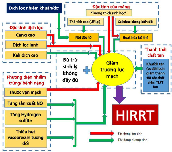 Những yếu tố đóng góp làm giảm trương lực mạch máu dẫn đến HIRRT