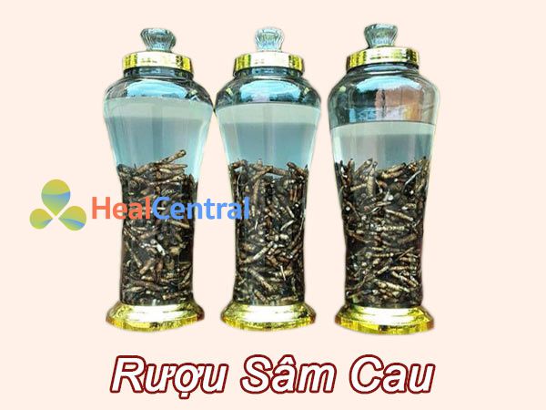 Hình ảnh Rượu Sâm Cau