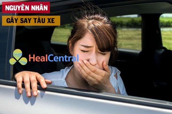 Say tàu xe do sự không đồng nhất giữa các giác quan