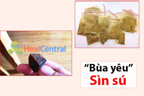 Sìn sú là gì? sử dụng như thế nào và giá bán của sìn sú