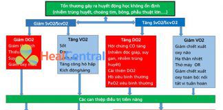 Mối quan hệ giữa bão hòa tĩnh mạch và DO2 và VO2