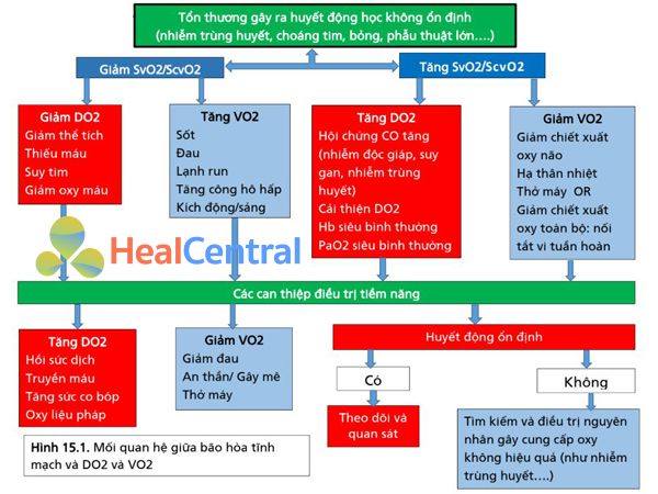 Mối quan hệ giữa bão hòa tĩnh mạch và DO2 và VO2