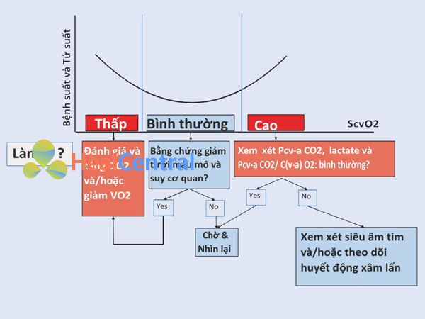 Mối quan hệ giữa ScvO2 với tỷ lệ mắc bệnh và tử vong.