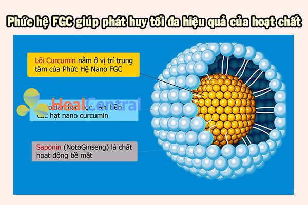 Tác dụng ưu việt của phức hệ FGC