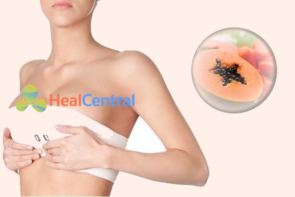 Tăng kích thước ngực bằng đu đủ