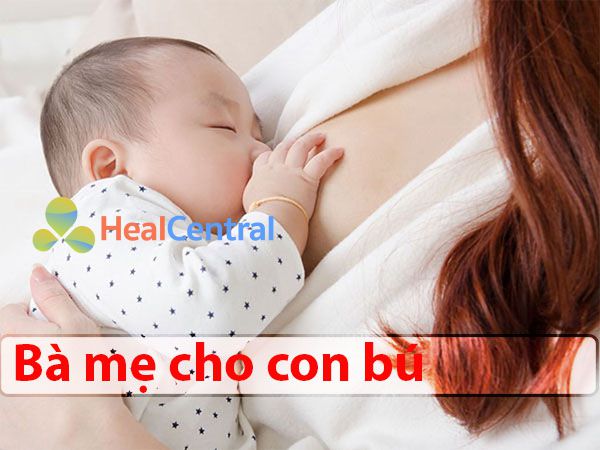 Ảnh hưởng của thuốc Telfast lên phụ nữ cho con bú