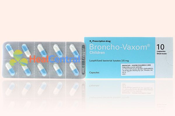 Thuốc Broncho - Vaxom